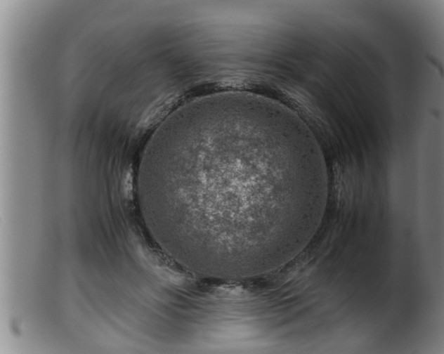 X0000099530502200805231105
