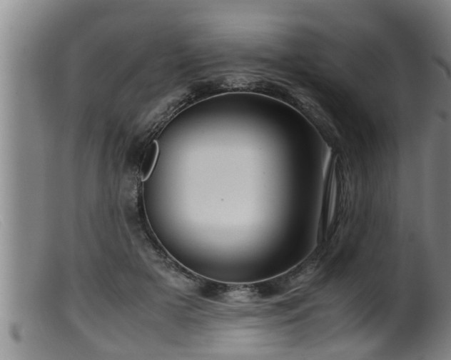 X0000099530505200805231105