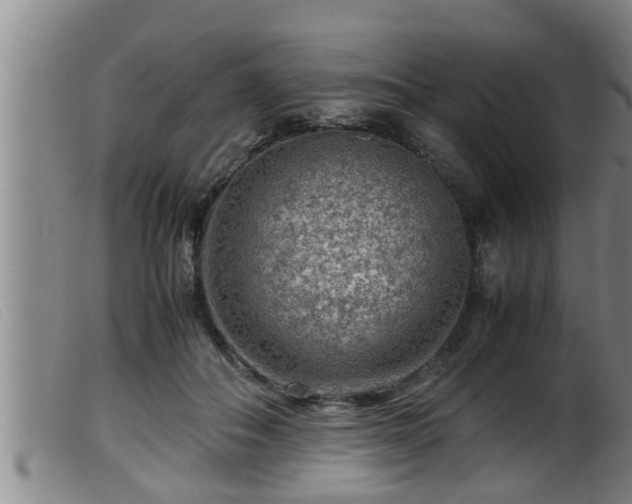 X0000099530506200805231105