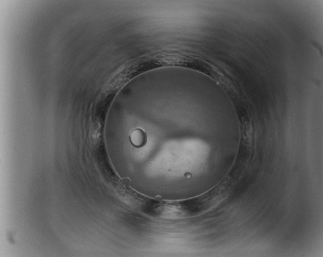 X0000099530507200805231105