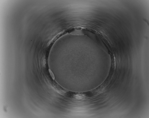 X0000099530508200805231105