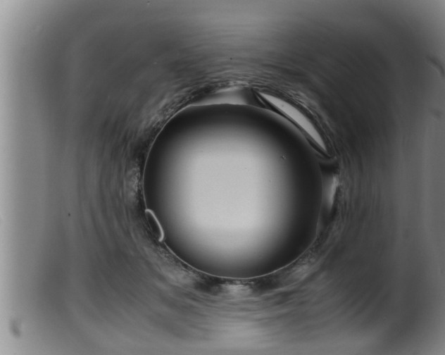 X0000099530509200805231105