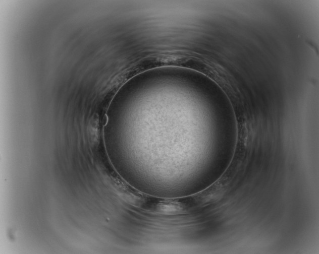 X0000099530510200805231105