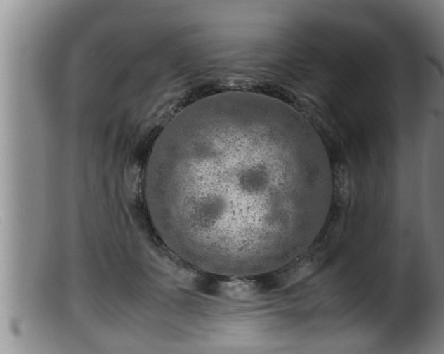 X0000099530511200805231105