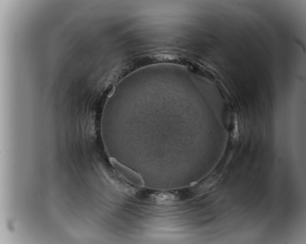 X0000099530512200805231105