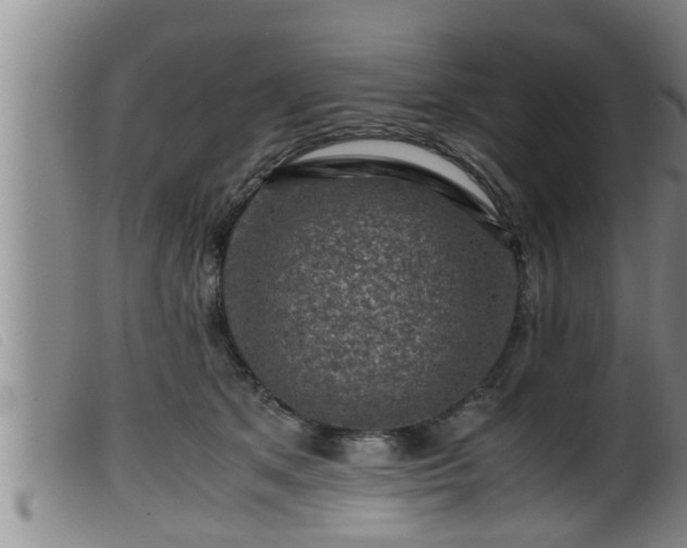 X0000099530513200805231105