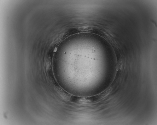 X0000099530515200805231105