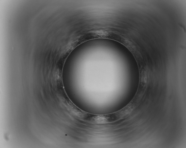 X0000099530518200805231105