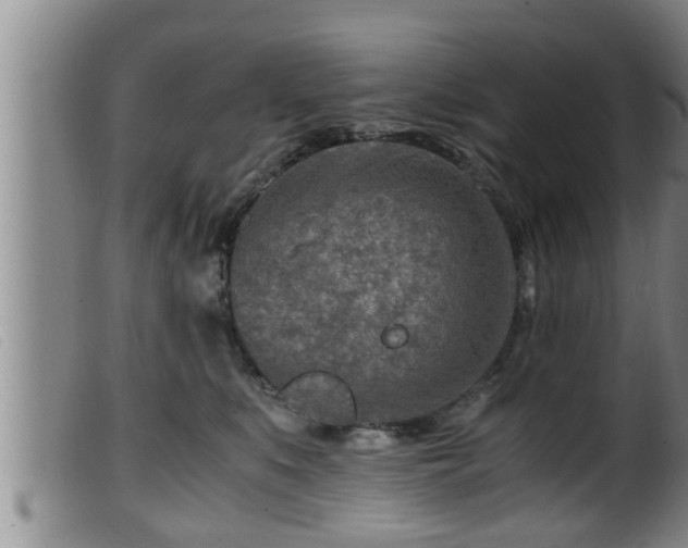 X0000099530519200805231105
