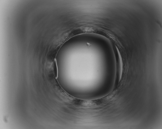 X0000099530521200805231105