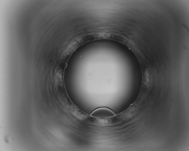 X0000099530522200805231105