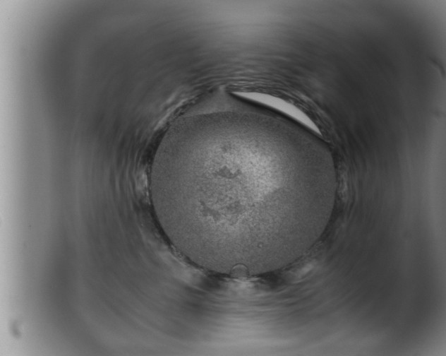 X0000099530523200805231105