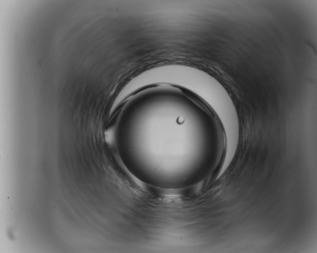 X0000099530524200805231105