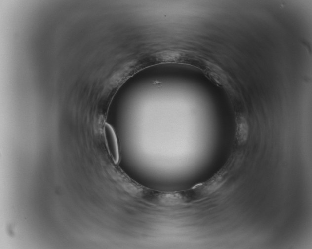 X0000099530525200805231105