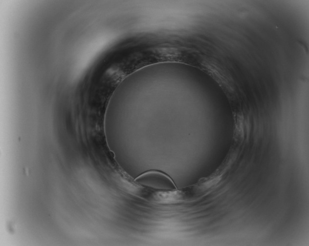 X0000099530526200805231105