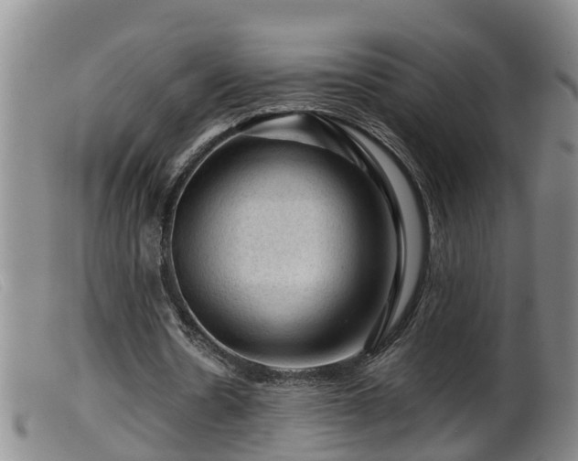X0000099530530200805231104