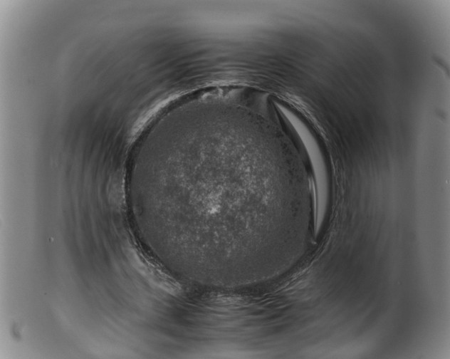 X0000099530531200805231104
