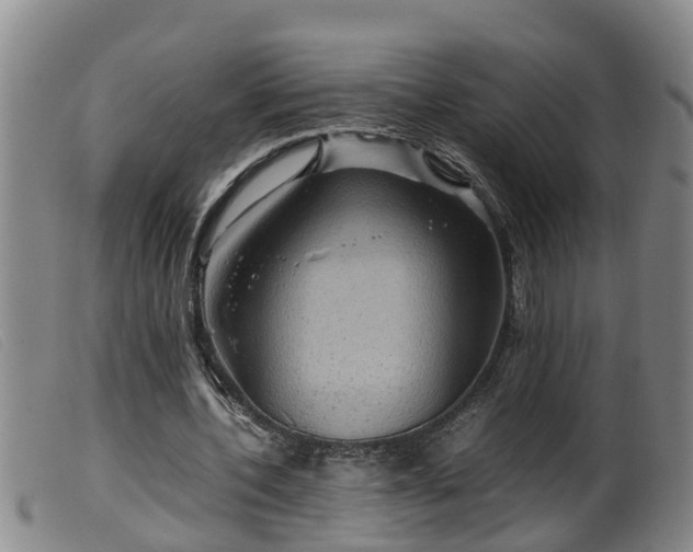 X0000099530532200805231104