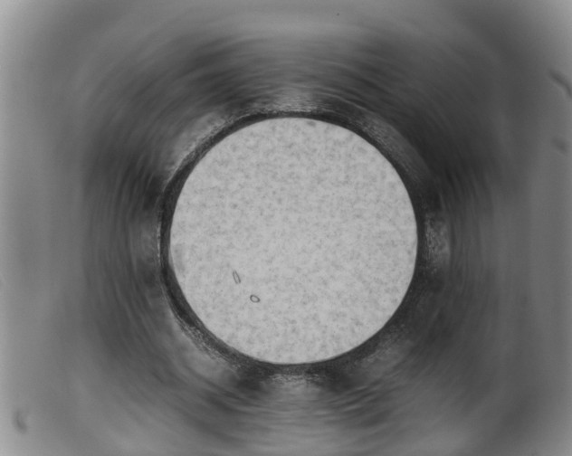 X0000099530534200805231104