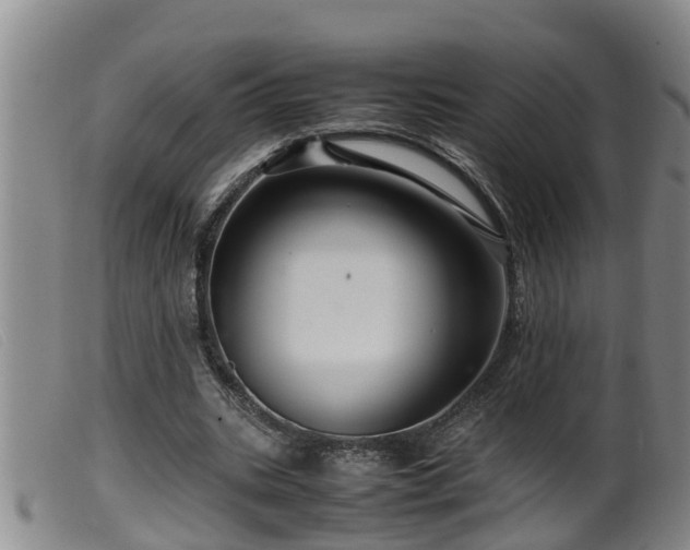 X0000099530535200805231104