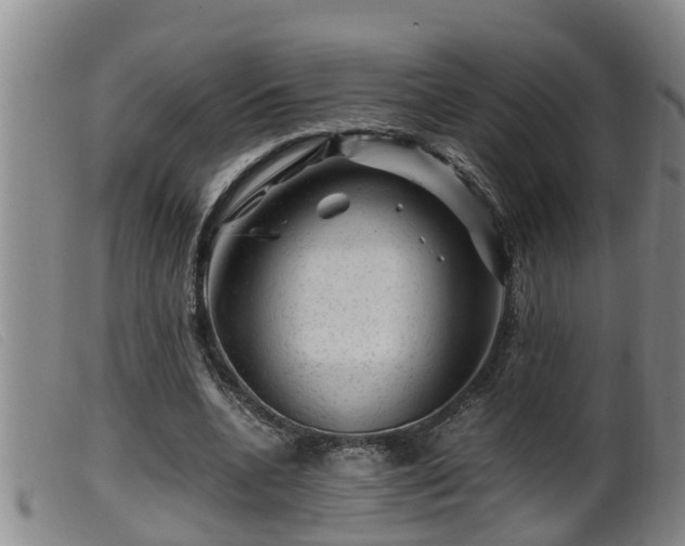 X0000099530536200805231104