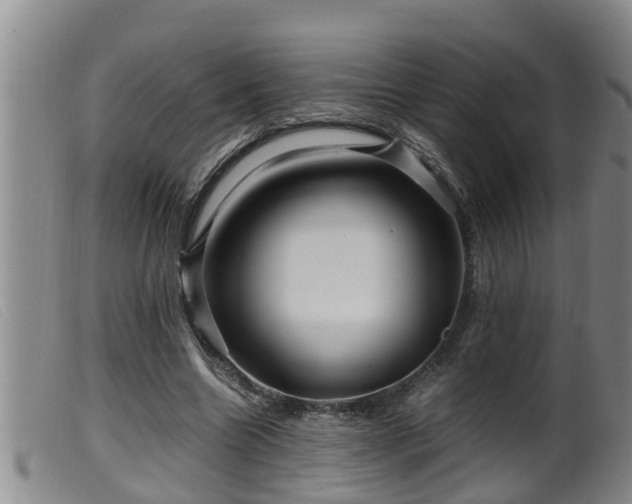 X0000099530538200805231104