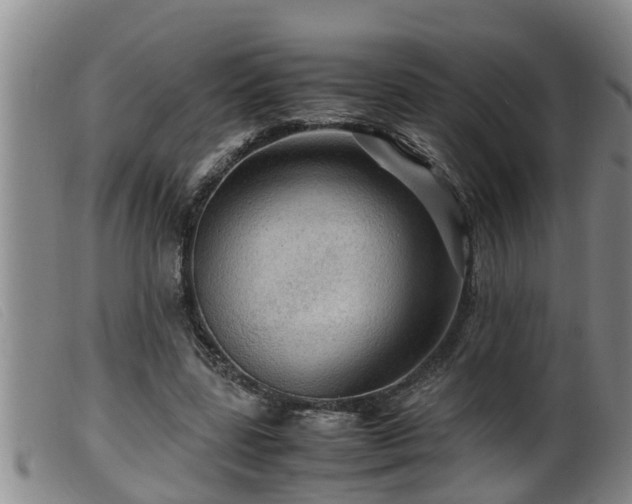 X0000099530539200805231104