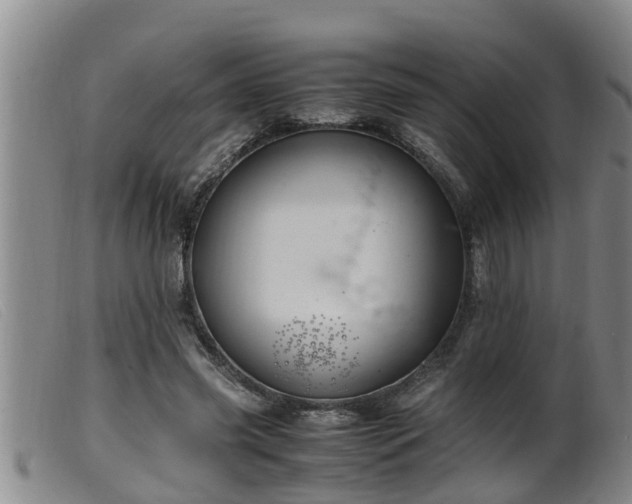 X0000099530541200805231104