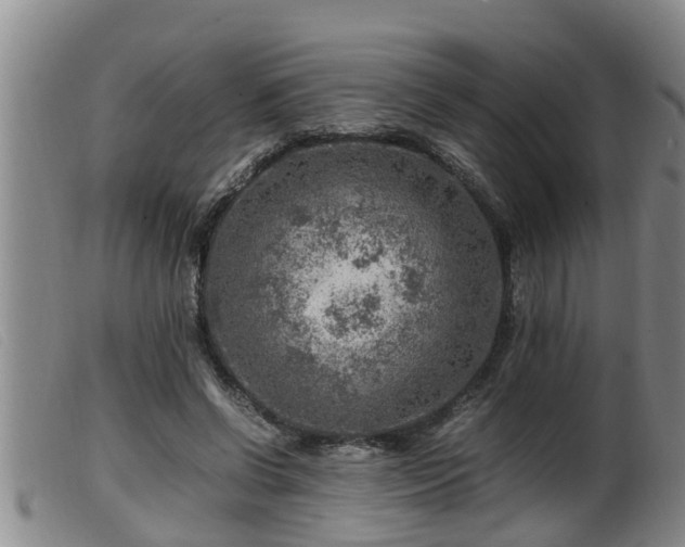 X0000099530542200805231104