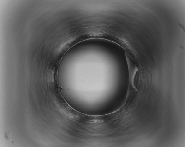 X0000099530543200805231104