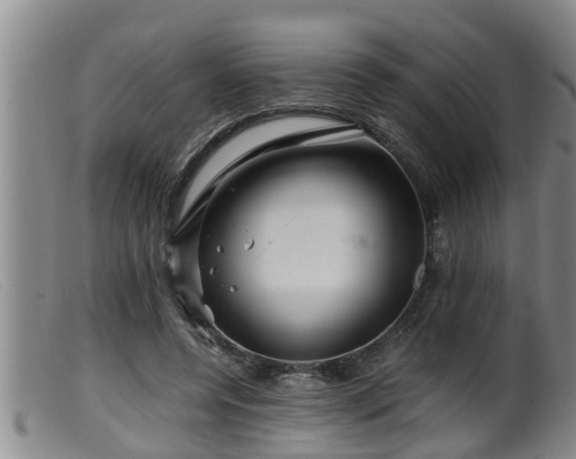 X0000099530544200805231104