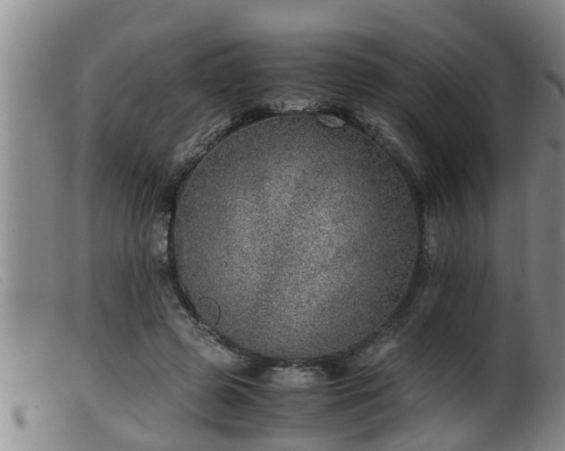 X0000099530545200805231104