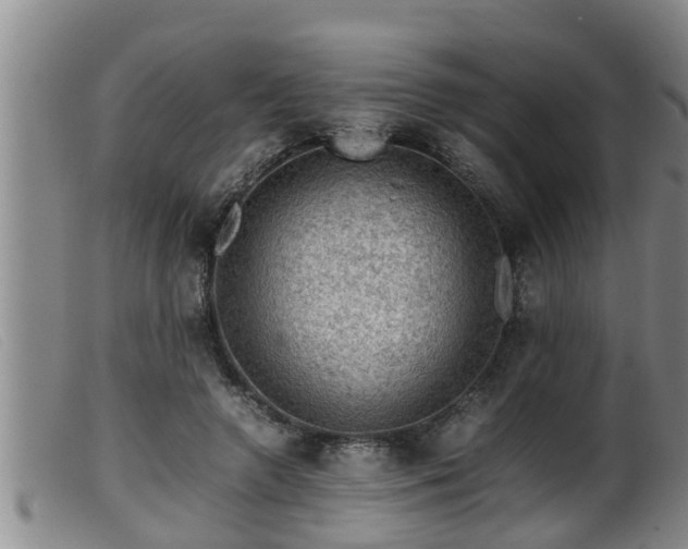 X0000099530546200805231104