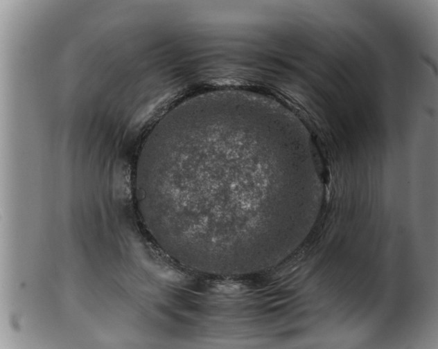 X0000099530547200805231105