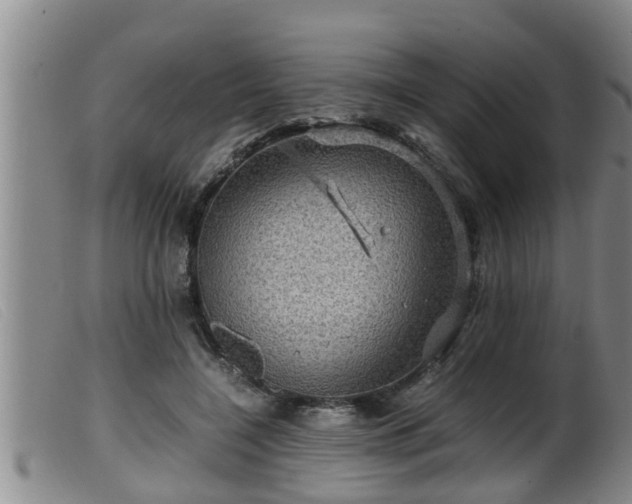 X0000099530548200805231105