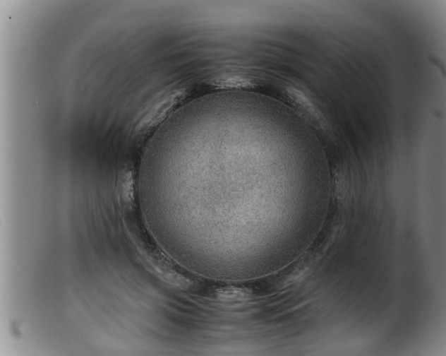X0000099530549200805231105