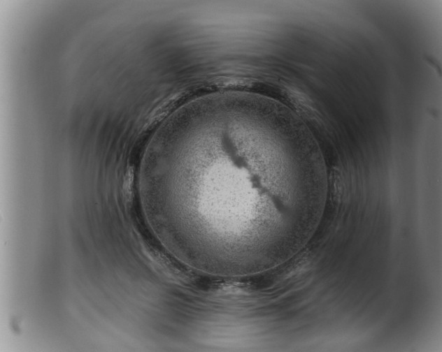 X0000099530550200805231105