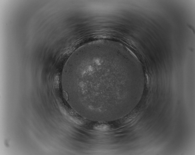 X0000099530551200805231105