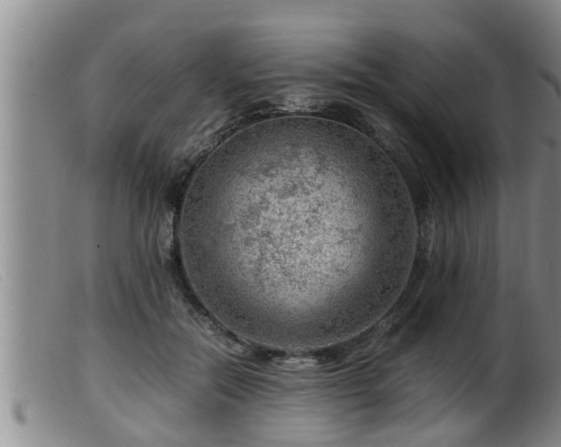 X0000099530554200805231105