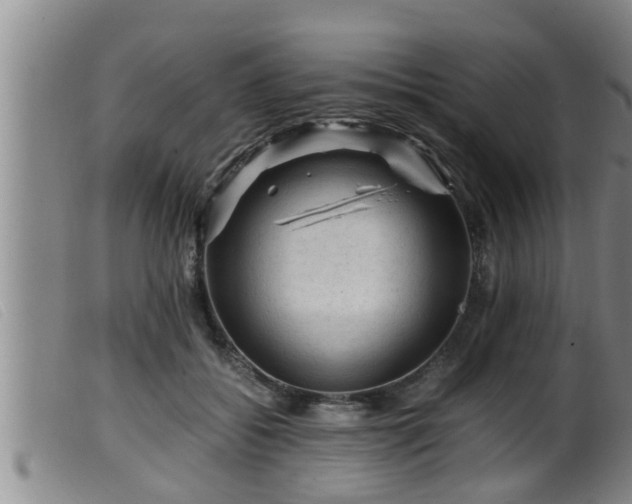 X0000099530556200805231105