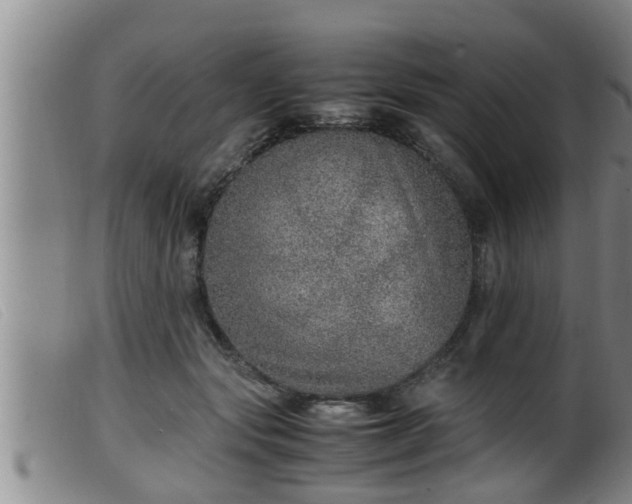 X0000099530557200805231105