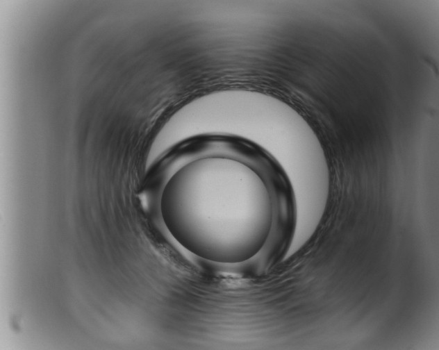 X0000099530560200805231105