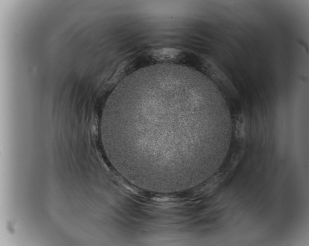 X0000099530561200805231105
