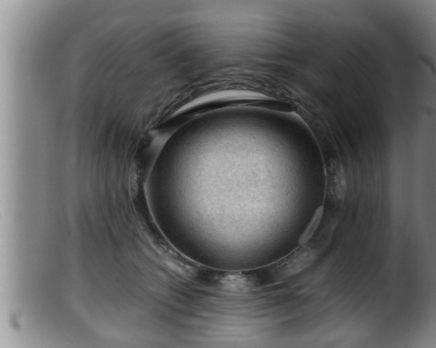 X0000099530562200805231105