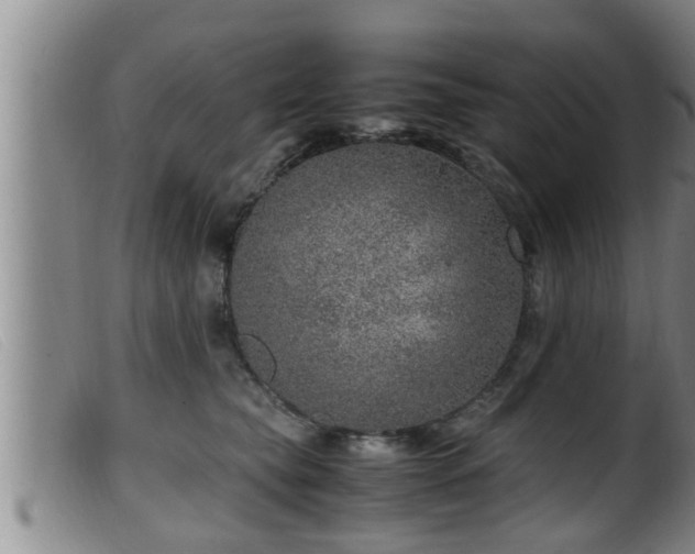 X0000099530565200805231105