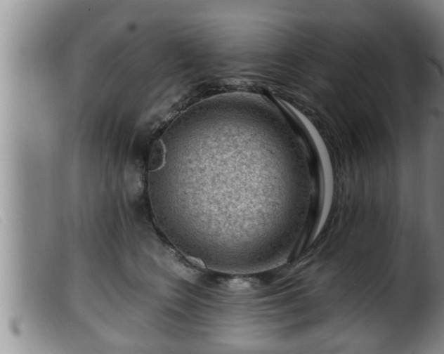 X0000099530566200805231105