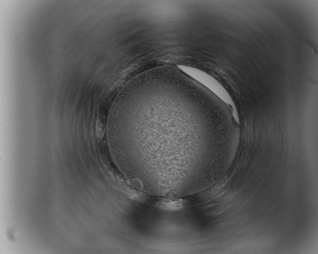 X0000099530569200805231105