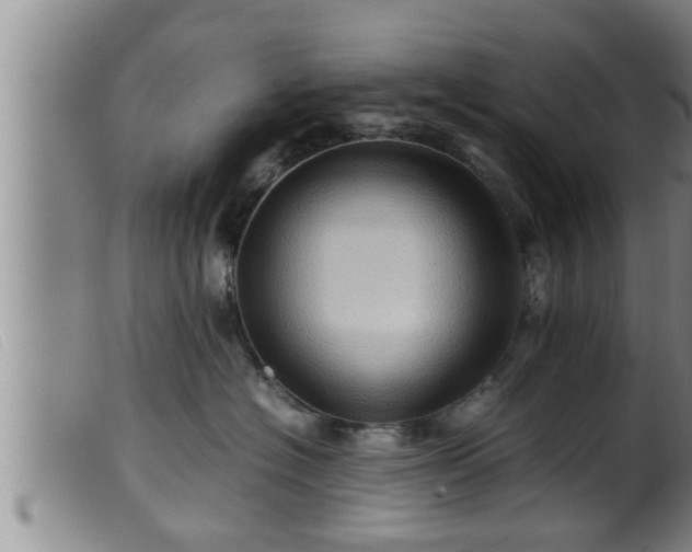 X0000099530574200805231105