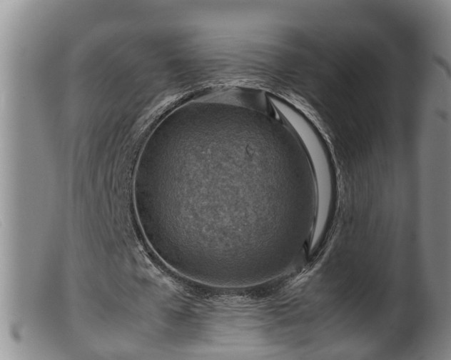 X0000099530577200805231104