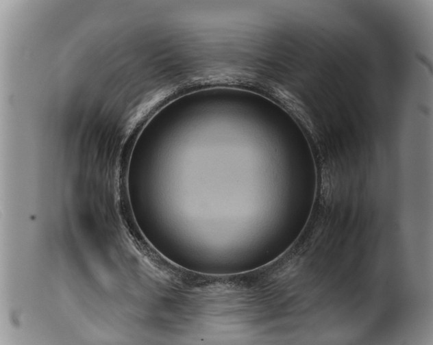 X0000099530578200805231104